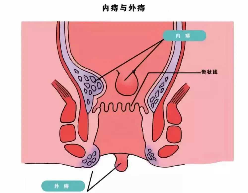 2023上海供卵试管婴儿医院成功率排名更新，附助孕价目表