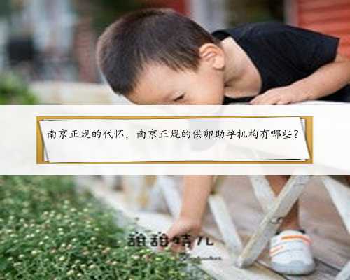 南京正规的代怀，南京正规的供卵助孕机构有哪些？